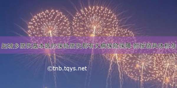 起城乡居民基本医疗保险居民都有大病保险保障 附报销具体标准