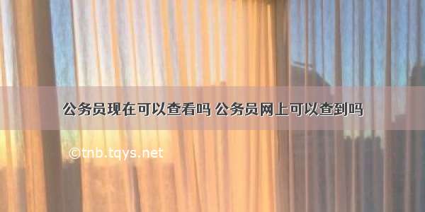 公务员现在可以查看吗 公务员网上可以查到吗