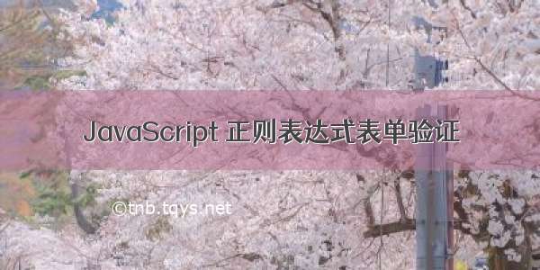 JavaScript 正则表达式表单验证