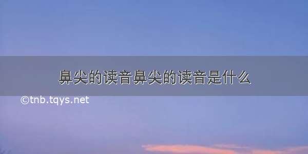 鼻尖的读音鼻尖的读音是什么