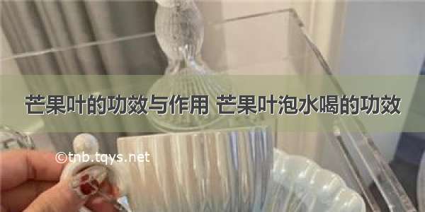 芒果叶的功效与作用 芒果叶泡水喝的功效