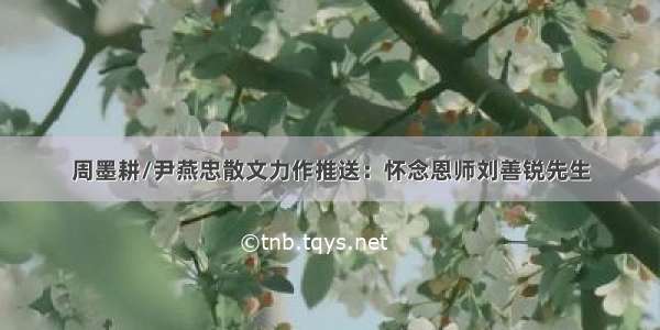 周墨耕/尹燕忠散文力作推送：怀念恩师刘善锐先生