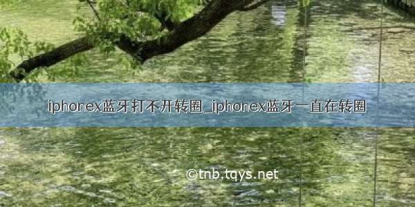 iphonex蓝牙打不开转圈_iphonex蓝牙一直在转圈