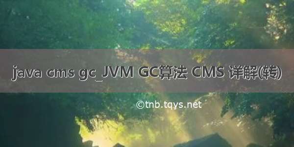 java cms gc_JVM GC算法 CMS 详解(转)