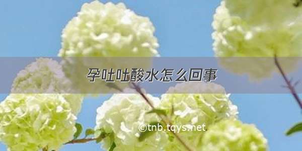 孕吐吐酸水怎么回事