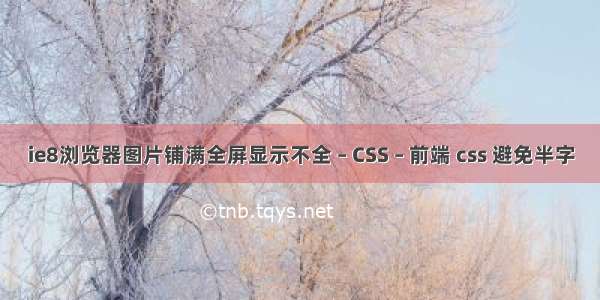 ie8浏览器图片铺满全屏显示不全 – CSS – 前端 css 避免半字