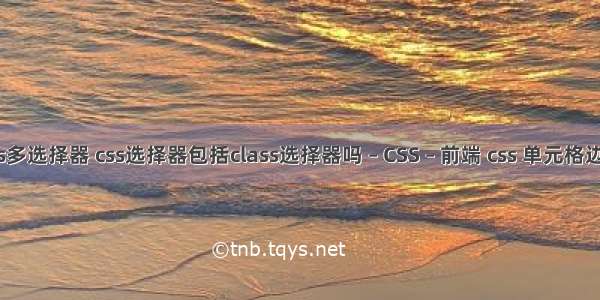 css多选择器 css选择器包括class选择器吗 – CSS – 前端 css 单元格边框