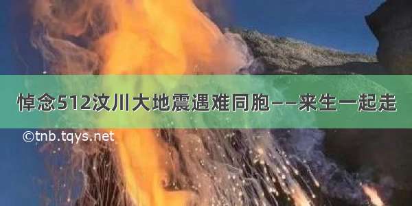 悼念512汶川大地震遇难同胞——来生一起走