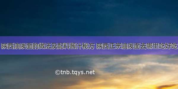 陕西油泼面的做法及配料酱汁秘方 陕西正宗油泼面去哪里吃好吃