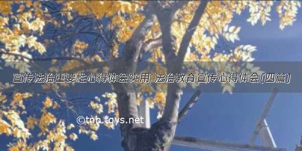 宣传法治重要性心得体会实用 法治教育宣传心得体会(四篇)