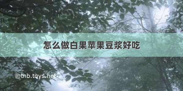 怎么做白果苹果豆浆好吃