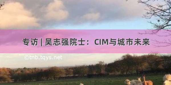 专访 | 吴志强院士：CIM与城市未来