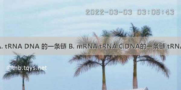 转录 翻译时的模板分别是A. tRNA DNA 的一条链 B. mRNA tRNA C.DNA的一条链 tRNA D.DNA的一条链 mRNA