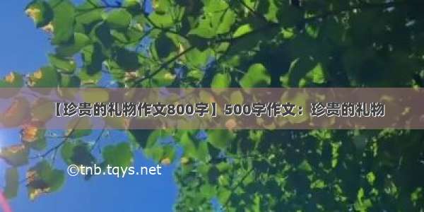 【珍贵的礼物作文800字】500字作文：珍贵的礼物