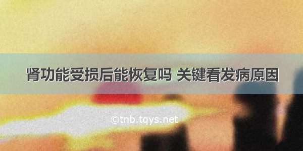 肾功能受损后能恢复吗 关键看发病原因