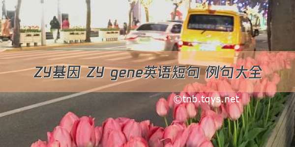 ZY基因 ZY gene英语短句 例句大全