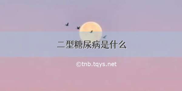 二型糖尿病是什么