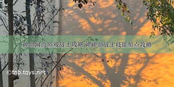 神曲网页游戏战士攻略 神神曲战士技能加点攻略