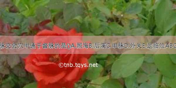 八脉交会穴中通于督脉的是()A.照海B.后溪C.申脉D.外关E.足临泣ABCDE