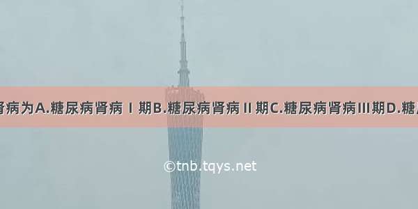 临床糖尿病肾病为A.糖尿病肾病Ⅰ期B.糖尿病肾病Ⅱ期C.糖尿病肾病Ⅲ期D.糖尿病肾病Ⅳ期