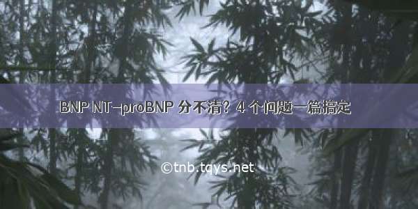 BNP NT-proBNP 分不清？4 个问题一篇搞定