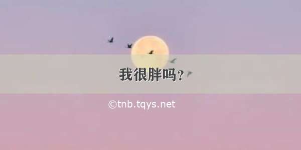 我很胖吗？