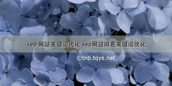 seo 网站关键词优化 seo网站排名关键词优化