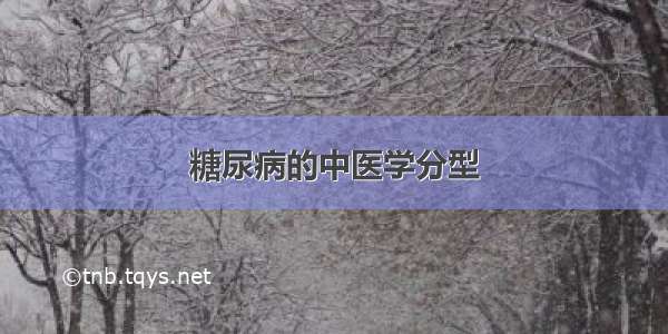 糖尿病的中医学分型