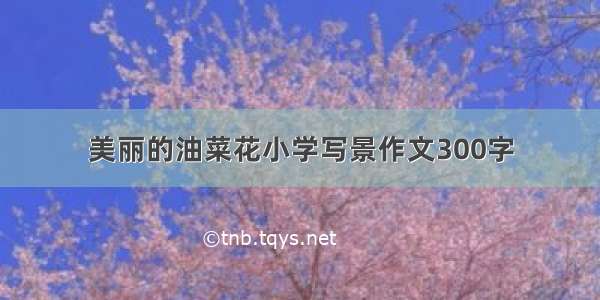 美丽的油菜花小学写景作文300字