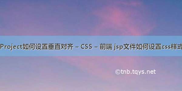 Project如何设置垂直对齐 – CSS – 前端 jsp文件如何设置css样式