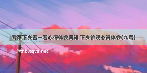 专家下乡看一看心得体会简短 下乡参观心得体会(九篇)