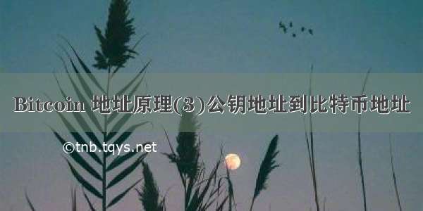 Bitcoin 地址原理(3)公钥地址到比特币地址