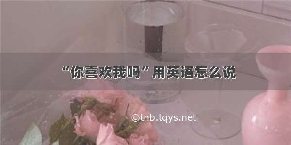 “你喜欢我吗”用英语怎么说