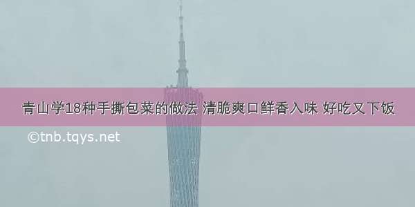 青山学18种手撕包菜的做法 清脆爽口鲜香入味 好吃又下饭