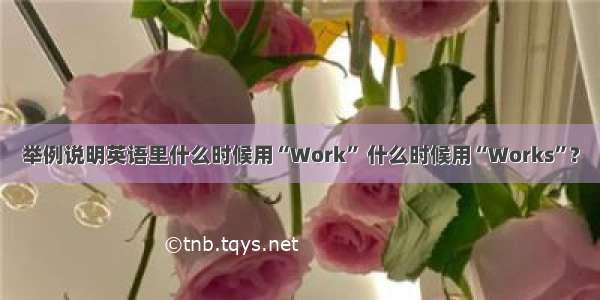 举例说明英语里什么时候用“Work” 什么时候用“Works”?