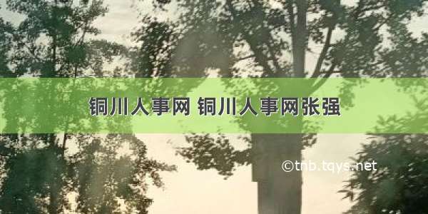 铜川人事网 铜川人事网张强