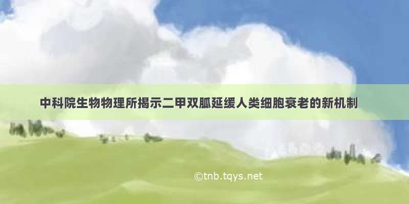 中科院生物物理所揭示二甲双胍延缓人类细胞衰老的新机制