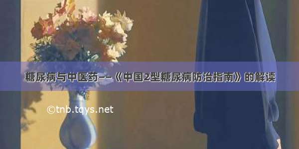 糖尿病与中医药——《中国2型糖尿病防治指南》的解读