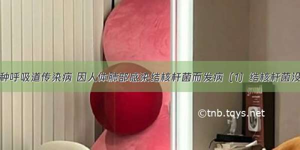 肺结核是一种呼吸道传染病 因人体肺部感染结核杆菌而发病（1）结核杆菌没有成形的细