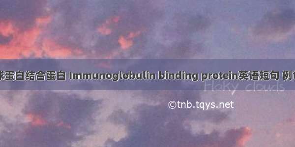 免疫球蛋白结合蛋白 Immunoglobulin binding protein英语短句 例句大全