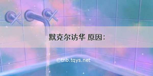 默克尔访华 原因：