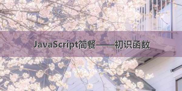 JavaScript简餐——初识函数