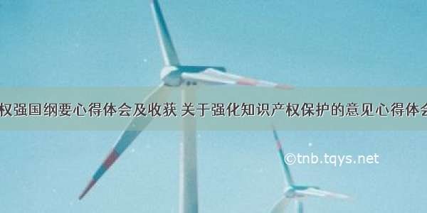 知识产权强国纲要心得体会及收获 关于强化知识产权保护的意见心得体会(九篇)