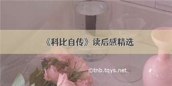 《科比自传》读后感精选