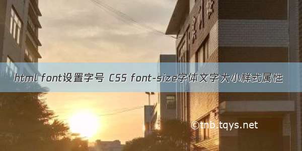 html font设置字号 CSS font-size字体文字大小样式属性