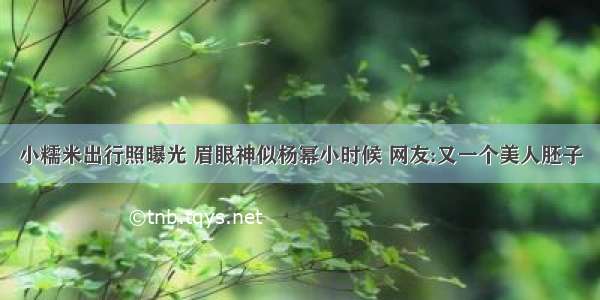 小糯米出行照曝光 眉眼神似杨幂小时候 网友:又一个美人胚子