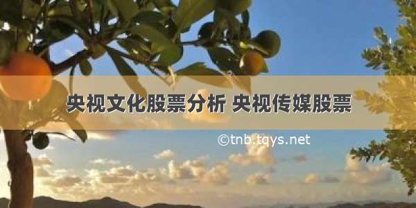 央视文化股票分析 央视传媒股票