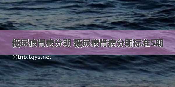 糖尿病肾病分期 糖尿病肾病分期标准5期