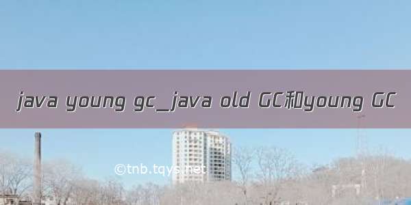 java young gc_java old GC和young GC