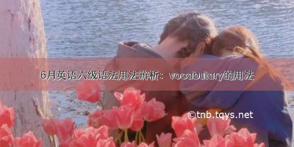 6月英语六级语法用法辨析：vocabulary的用法